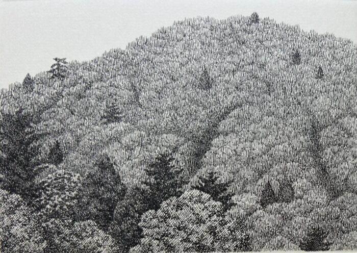 Tanaka Ryohei: Mountain No. 2